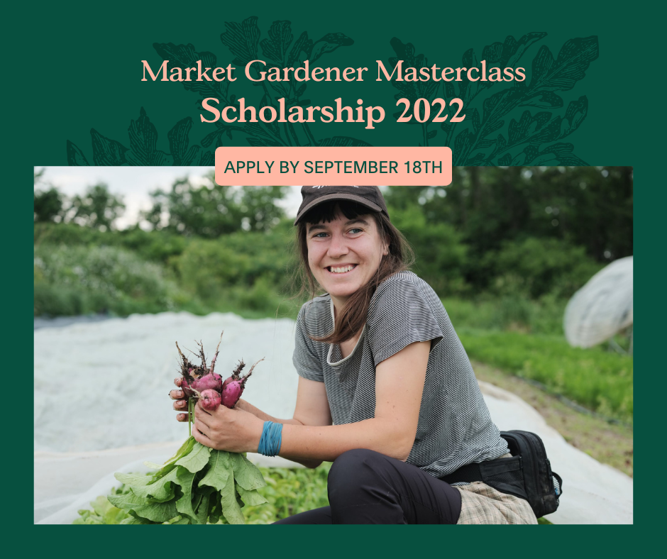 Masterclass scholarship 2022