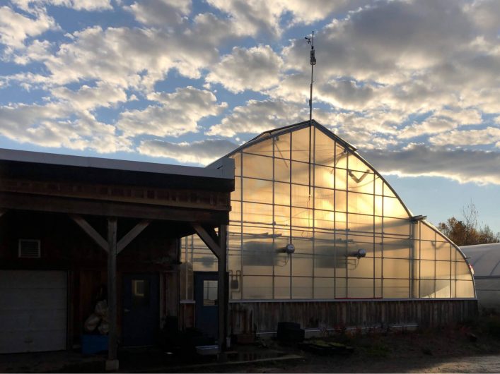 Insulation is one factor you must consider before buying a greenhouse. / Credit : Alex Chabot