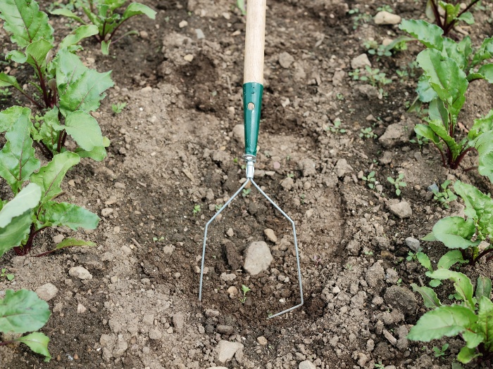 The interchangeable wire weeder is an excellent tool to weed around small plants and drip tape. / Credit: Alex Chabot