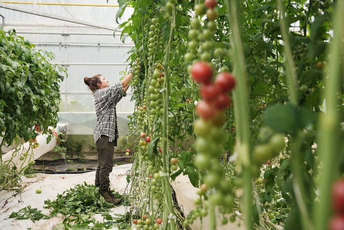 What programs are available for small-scale growers?/Credit: Alex Chabot
