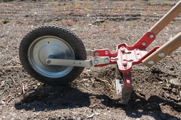 The wheel hoe is an excellent tool for hoeing weeds around single row crops. / Credit : Alex Chabot